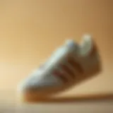 The Perfect Fusion of Style and Comfort Elegant Adidas Gazelle in beige setting