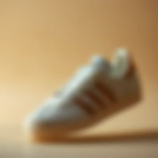 The Perfect Fusion of Style and Comfort Elegant Adidas Gazelle in beige setting