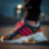 Elegant design of Adidas Ozweego shoes showcasing their unique style