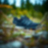 Adidas Terrex Swift Solo in Nature Adidas Terrex Swift Solo in a natural setting