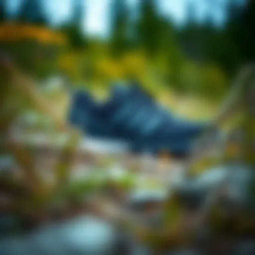 Adidas Terrex Swift Solo in Nature Adidas Terrex Swift Solo in a natural setting