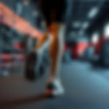 Fitness equipment for leg exercises