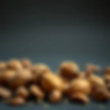 Brazil nuts as an energy source for athletes