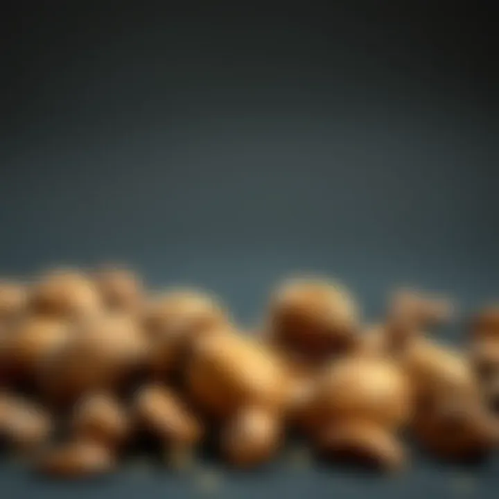 Brazil nuts as an energy source for athletes