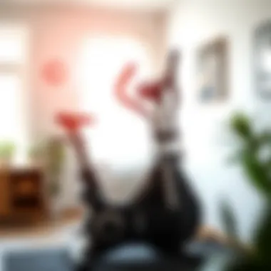 A serene home gym featuring an elliptical bike with natural light