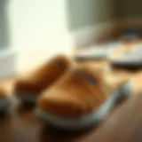 Stylish Fıla slippers displayed on a wooden floor