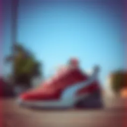 Stylish athletic footwear for various occasions