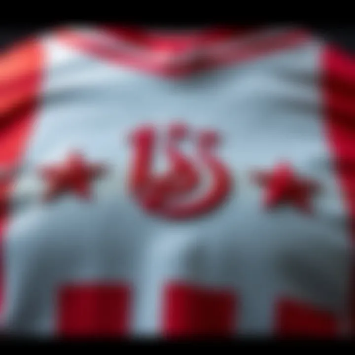 Detailed design elements of the Galatasaray jersey that reflect its rich heritage