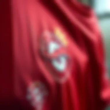 Close-up of Galatasaray jersey fabric and logo