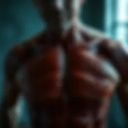 Detailed anatomy of chest muscles