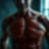 Understanding Chest Muscle Anatomy Detailed anatomy of chest muscles