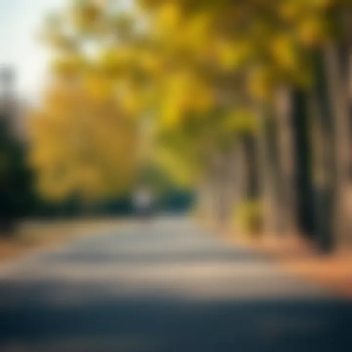 An inviting running path lined with trees, encouraging an active lifestyle.