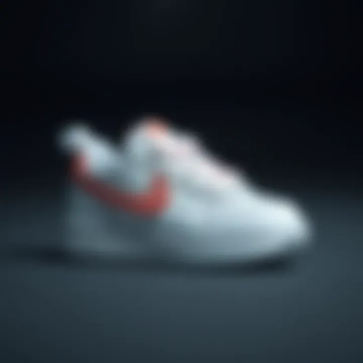 Comfortable Nike Sneakers for Baby Girls A comfortable Nike sneaker designed specifically for the delicate feet of baby girls.