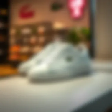 Lacoste classic shoes displayed on a stylish surface