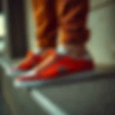 Diverse range of Lacoste shoe models