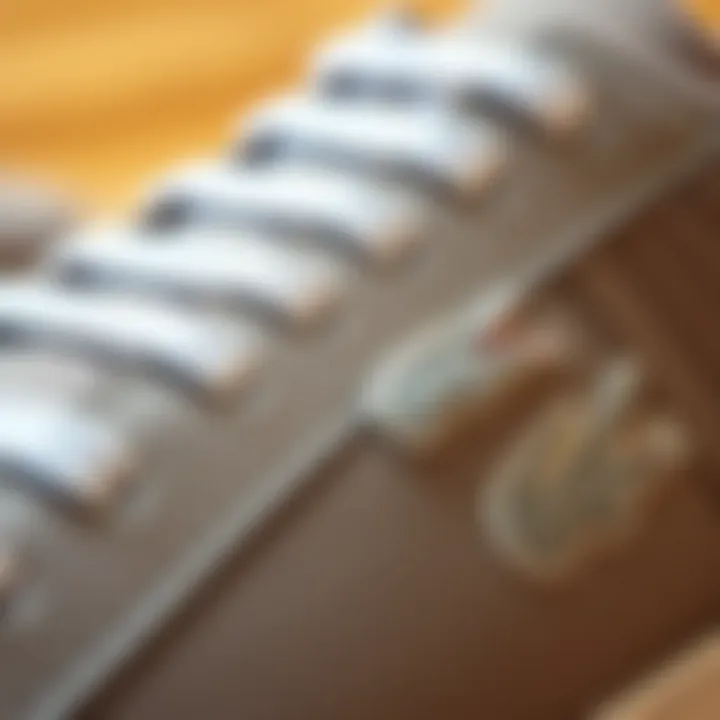 Close-up of Lacoste shoe materials and textures