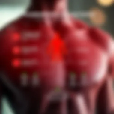 An infographic illustrating metabolism and energy processes