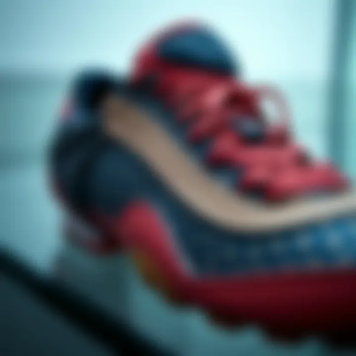 A close-up of sneaker design details