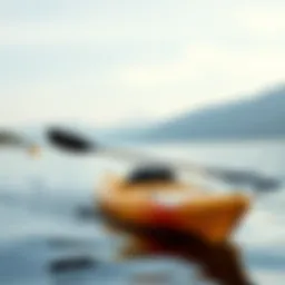 Stylish Nike kayak mont design