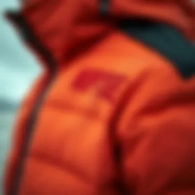 Detail Shot of Nuptse Jacket Features