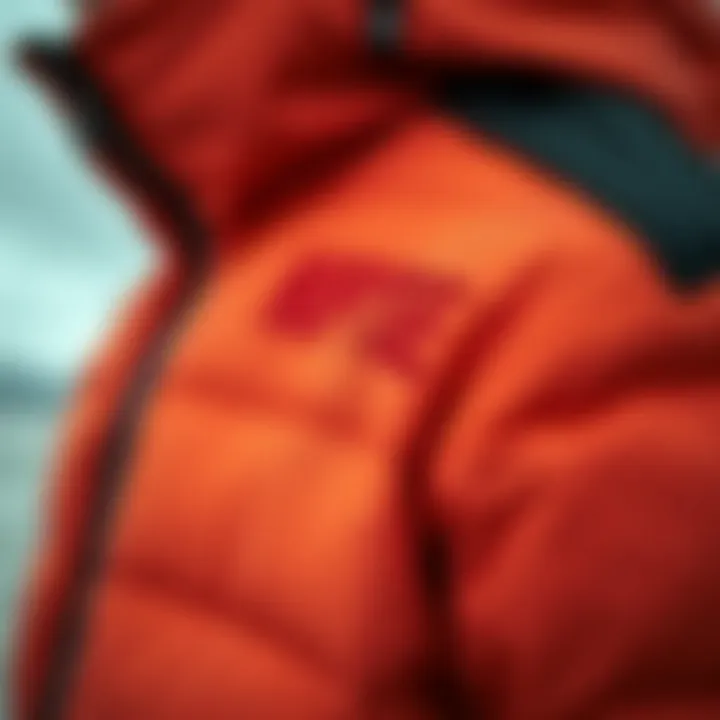 Detail Shot of Nuptse Jacket Features