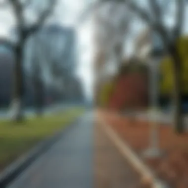 Before and after image showcasing a cleaned park area