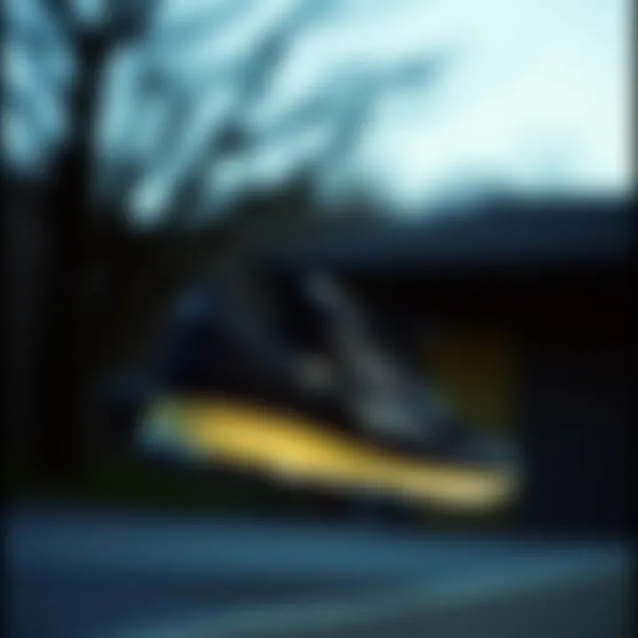 Notable Reebok Kadın Ayakkabı Dünyası: Şıklık ve Performansı Birleştiren Seçenekler Notable Reebok Kadın Ayakkabı Dünyası: Şıklık ve Performansı Birleştiren Seçenekler