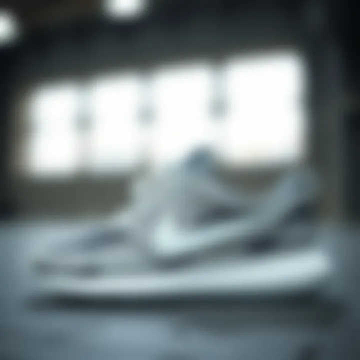 Aesthetic Elements of Roshe Footwear A close-up view of the aesthetic elements in Roshe footwear