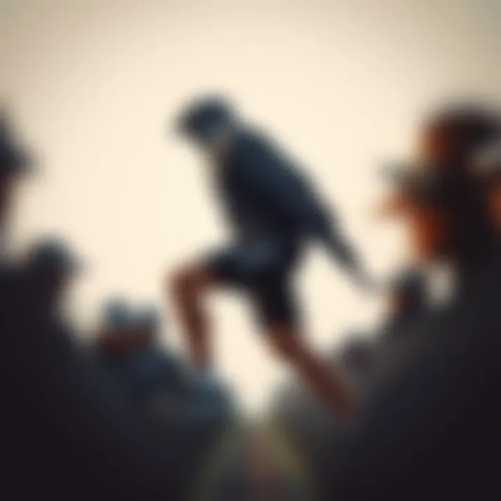 Runfalcon 2.0 Kadın: Spor Giyimde Yeni Bir Dönem Summary