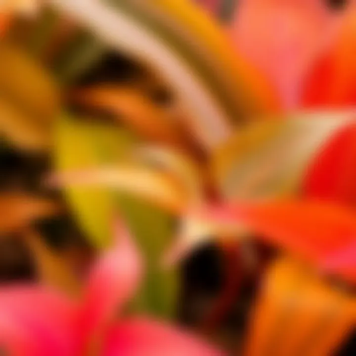 A close-up of vibrant leaves showcasing nature's details