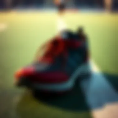 Essential Shoe Care Tips Illustration of shoe care tips, including cleaning and maintenance.