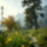 A serene landscape promoting relaxation