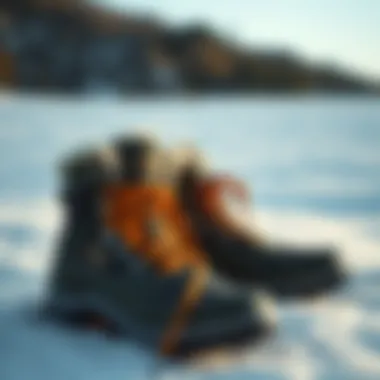 The North Face Winter Boots in Snow A stylish pair of The North Face winter boots in a snowy landscape