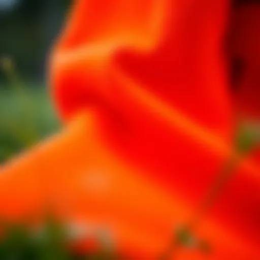 Vibrant orange tech fleece fabric showcasing its texture and quality