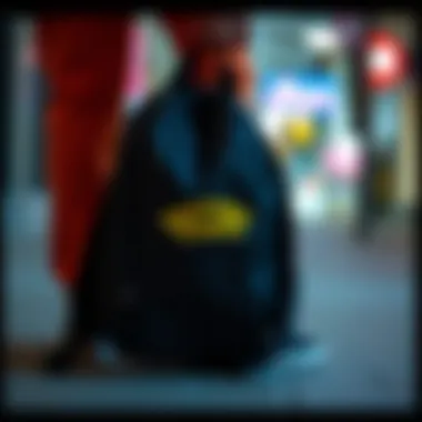 Stylish Vans bag showcasing modern design